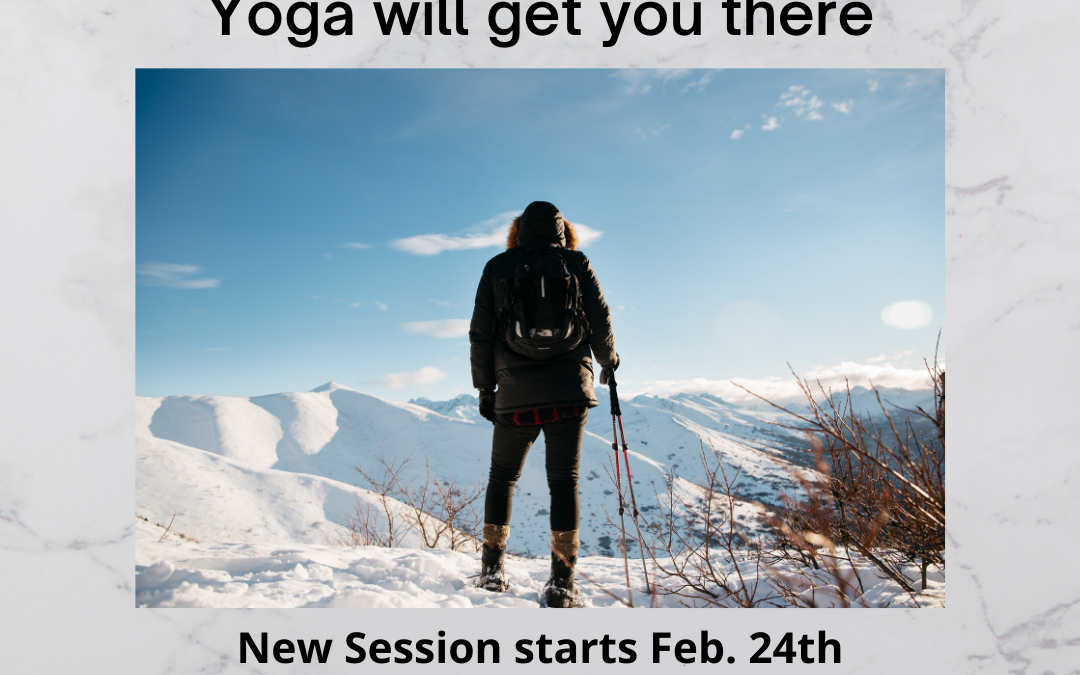New Yoga Session-Focus